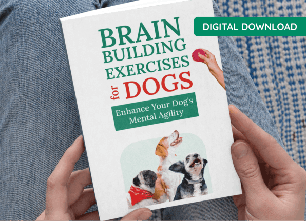  BONUS #2: Brain Building Exercises for Dogs